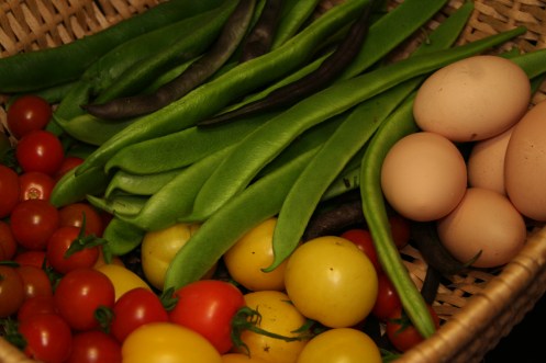 Tonights Fall Bounty